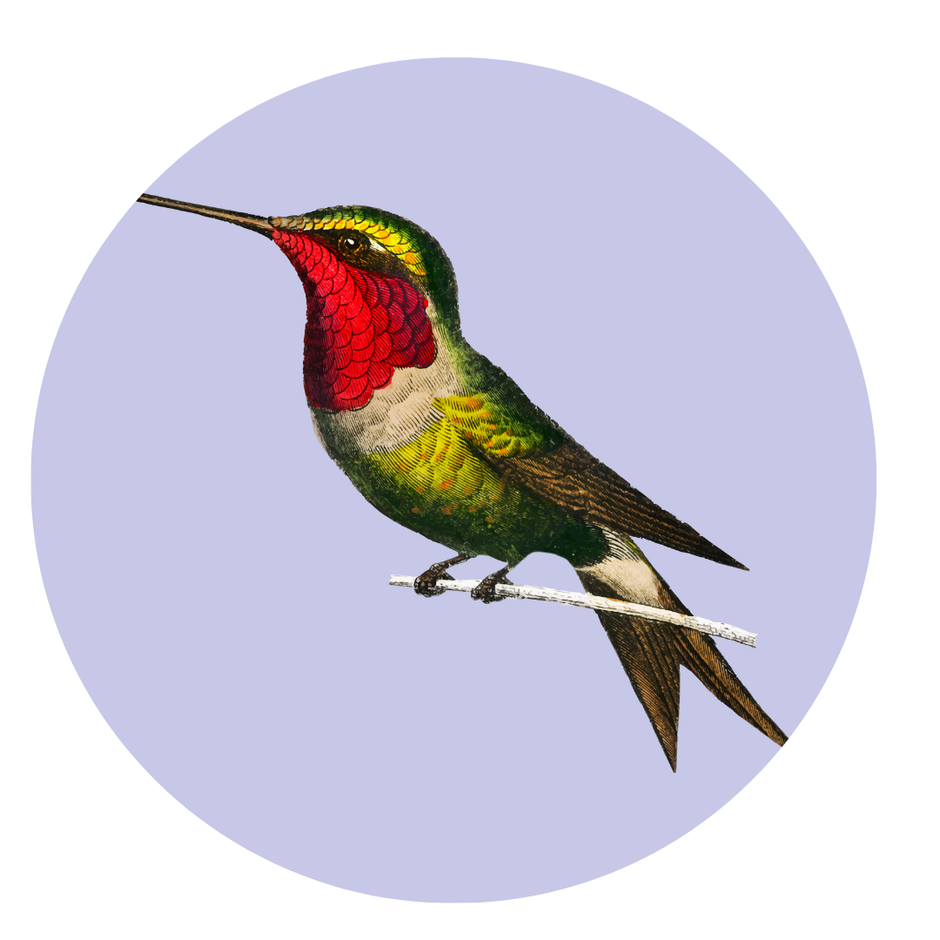 Conservación de especies