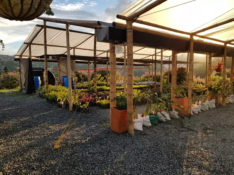 Vivero la Esmeralda
