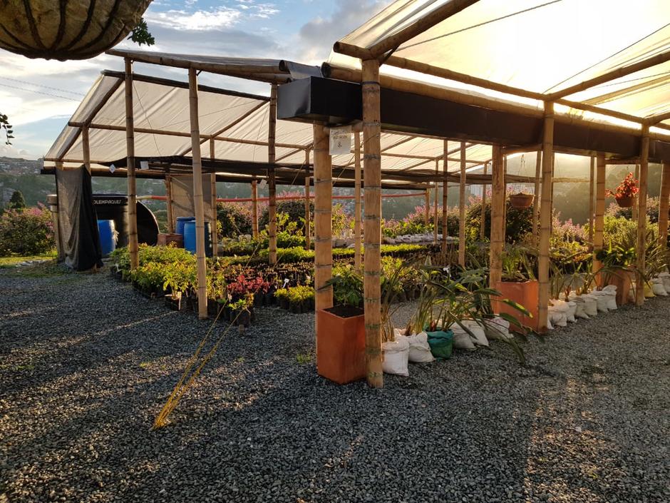 Vivero la Esmeralda