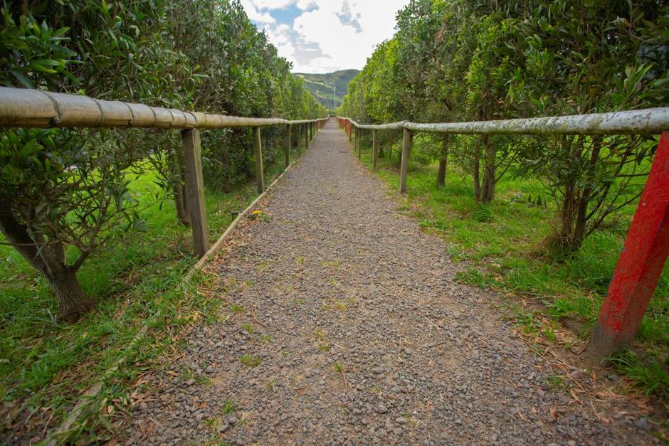 Lugares externos