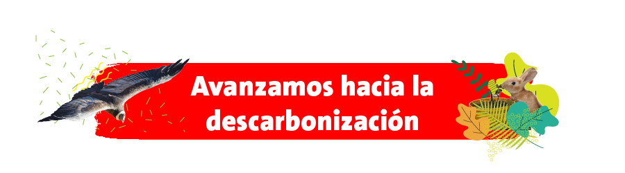 Avanzamos hacia la descarbonización