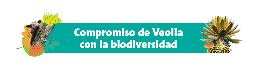 Compromiso de Veolia con la biodiversidad