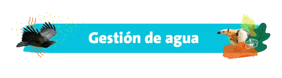 Gestión de agua