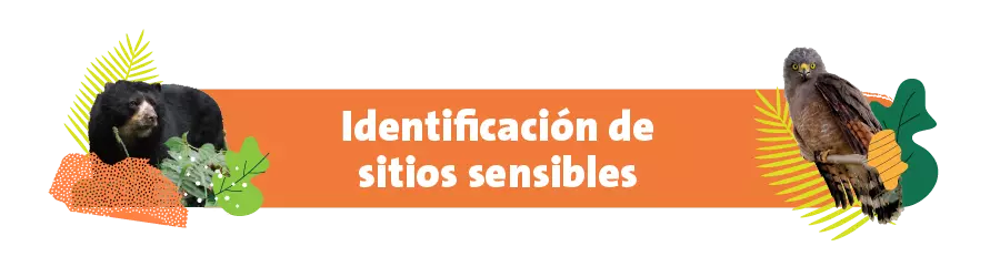 Identificación de sitios sensibles
