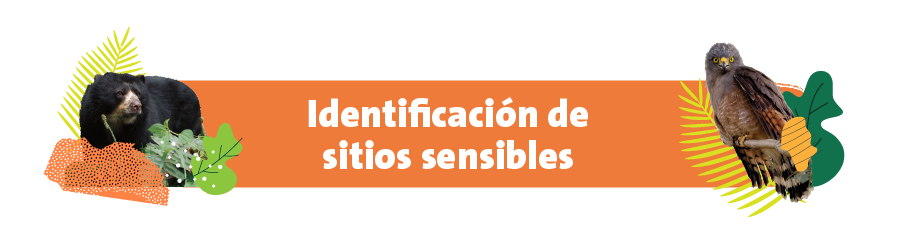 Identificación de sitios sensibles
