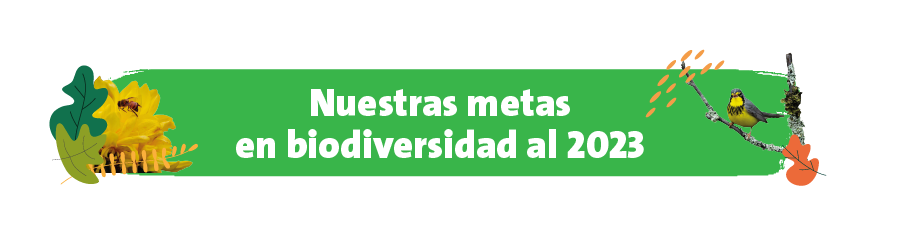 Nuestras metas en biodiversidad al 2023