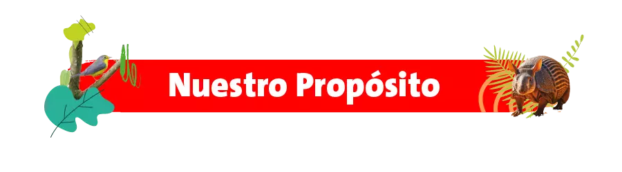 Nuestro propósito