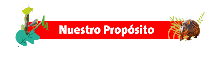 Nuestro propósito