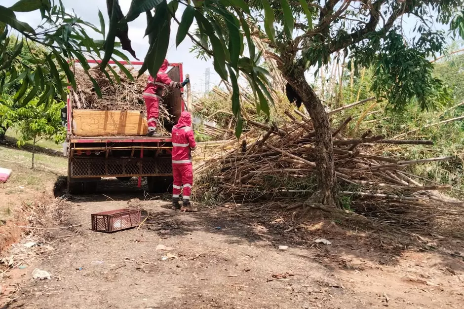 Veolia Santander y más de 40 pescadores realizaron jornada de limpieza en la ciénaga San Silvestre