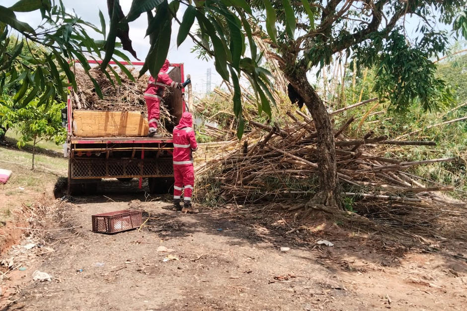 Veolia Santander y más de 40 pescadores realizaron jornada de limpieza en la ciénaga San Silvestre