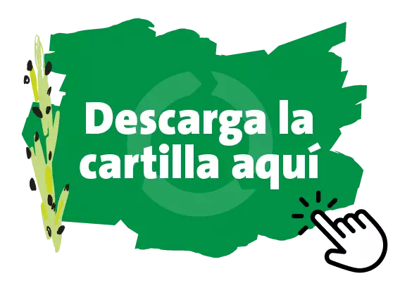 Reporte de certificacion